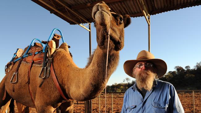 Stuart Wells Camel Farmer Neil Waters on his homestead 80 km's from Alice Springs, on past Camel Cup winner 'Curly' who was rescued from the meat works a few years back by Neil's wife Jayne. Neil and his wife Jayne Waters from Camels Australia continue to donate camels for the annual race in Alice Springs.