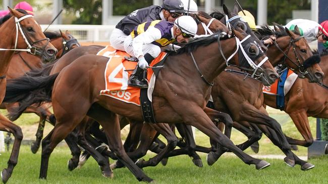 Daqiansweet Junior has proven himself over the 3200m. Picture: Getty Images