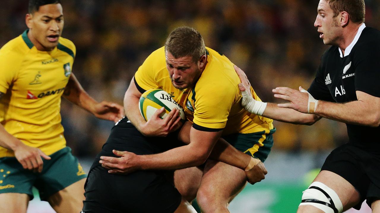 Bledisloe Cup preview: Wallabies v All Blacks, ANZ Stadium, Sydney ...