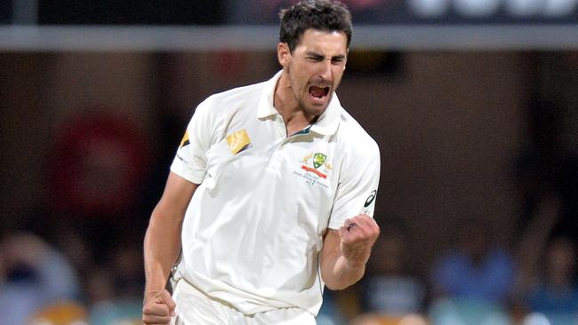 Mitchell Starc has led the way for the Australian attack.