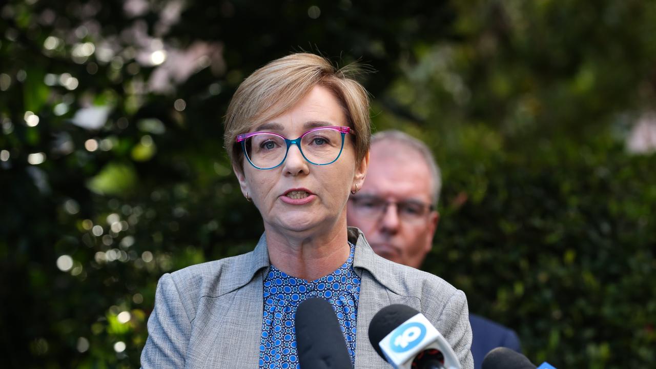 Minister for the Prevention of Domestic Violence and Sexual Assault Jodie Harrison called on people to report domestic violence to police like they would any other crime. Picture: NCA Newswire / Gaye Gerard