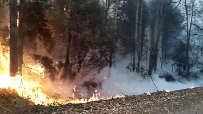 Videos of a going spot fire this morning on Arve Rd just after the intersection of Oigles Rd, about 7km west of Geeveston.