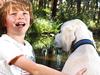 Greener, wilder: Adelaide wins rare National Park City status