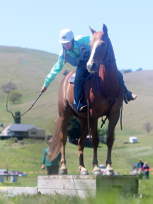 Eadie Everard competes in the whip cracking.