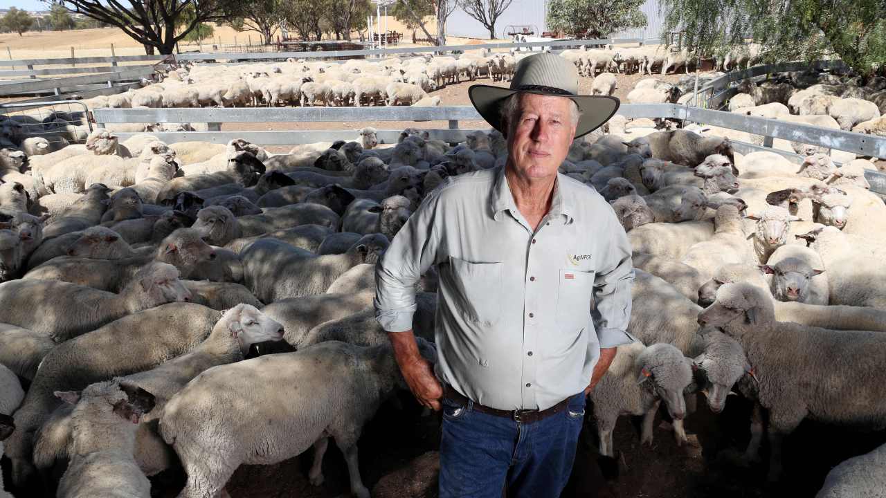 Prominent live export leader slams Agriculture Minister Murray Watt over live export ban