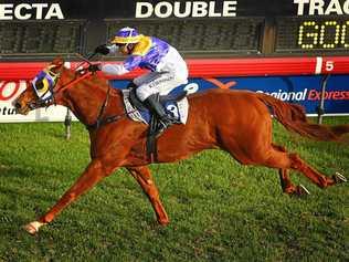 Robert Thompson drives The Jackal home to win a second Ramornie Handicap. Picture: The Daily Examiner