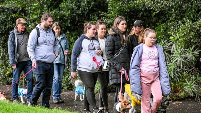 Million Paws Walk at Adelaide Botanic Gardens. Picture: Brenton Edwards
