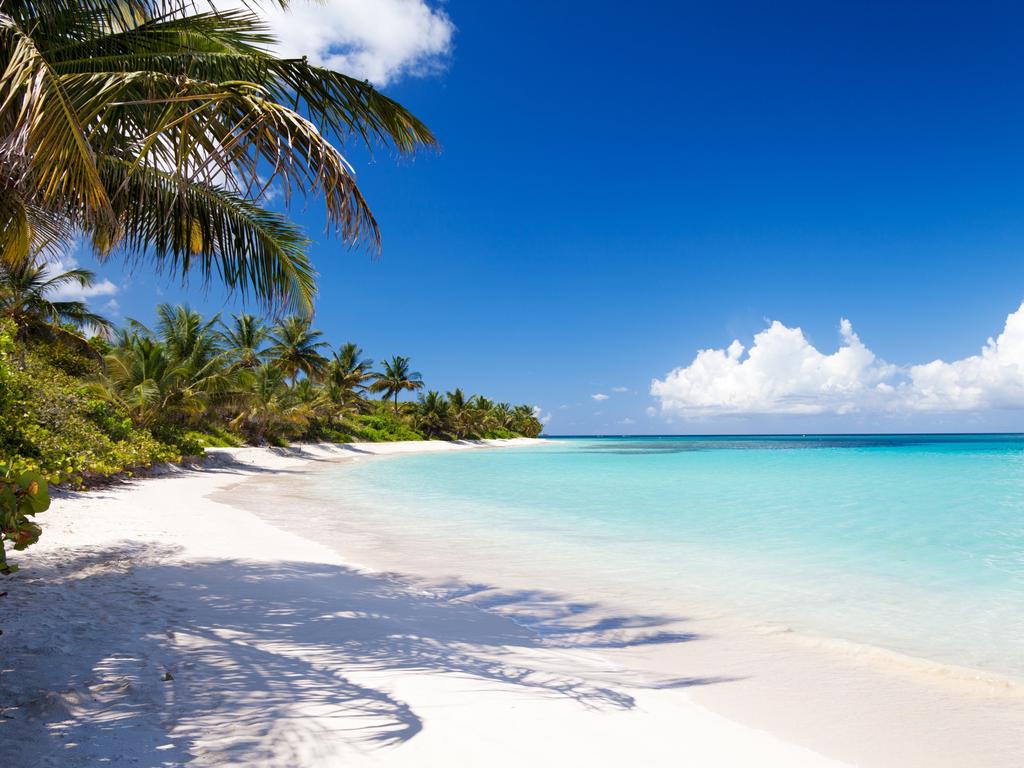 coconut palm trees at Playa Flamenco (Flamenco Beach) on Isla Culebra, Puerto Rico