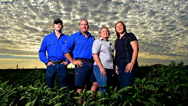 Jacob, Jamie, Melita and Jess Jurgens of VJK Kalfresh on their farm at Bowen in Queensland. Picture: Supplied