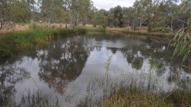 Wetlands near the RAAF base at Edinburgh.