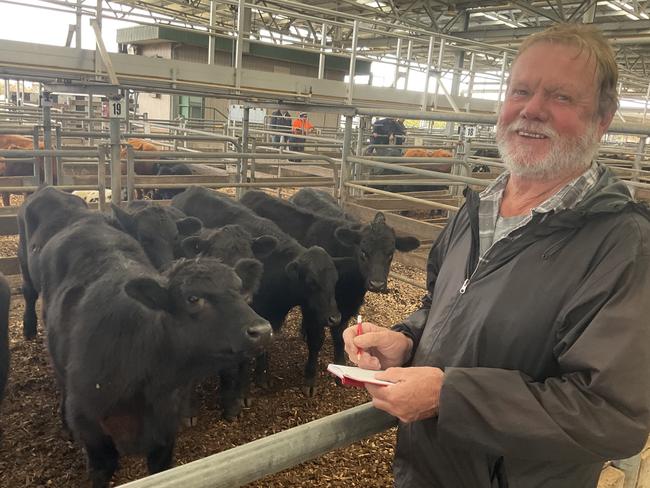 Store cattle market rebounds at Wangaratta