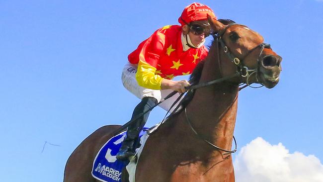 The Peter and Paul Snowden-trained King Of Sparta looks a great chance in the Heritage Stakes. Picture: Getty Images