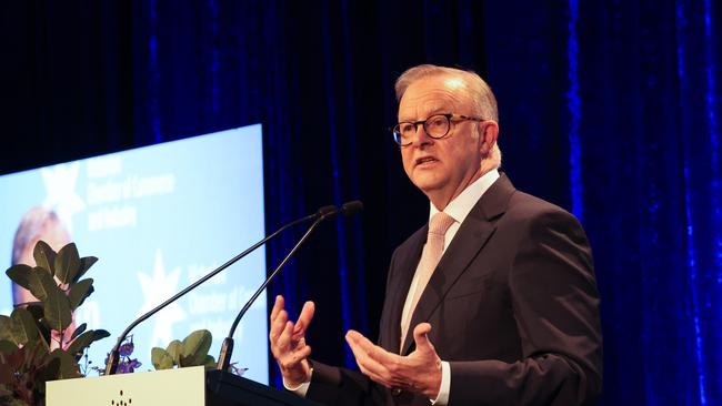 Prime Minister Anthony Albanese. Picture: David Caird