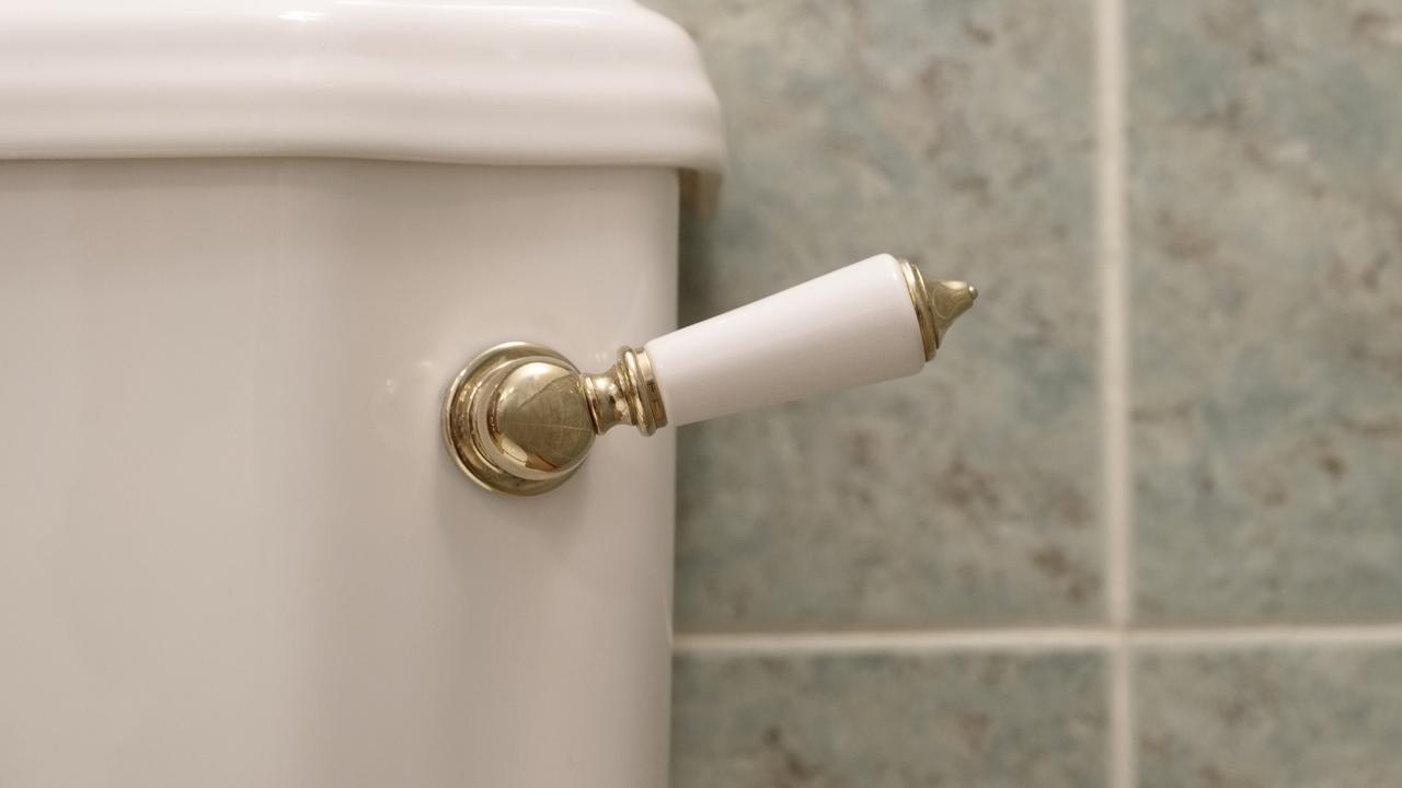 People often use their feet to flush these kinds of toilets