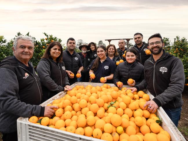 The Lentini family is now in its third generation of producers growing citrus for their brand, Eastcoast Beverages. PICTURE: Supplied.