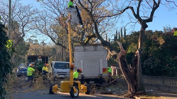 The damage done by the truck on Monday being cleaned up. Picture: Ryan Piekarski