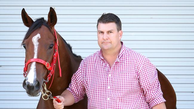 Chris Anderson will take Profit (pictured) and Ballistic Boy to the Scone Cup on Friday. Picture: News Corp Australia