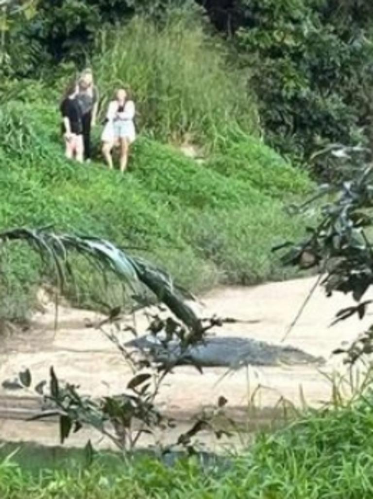 Three young women spotted getting close and personal with a saltwater crocodile, known by Babinda residents as Clyde.