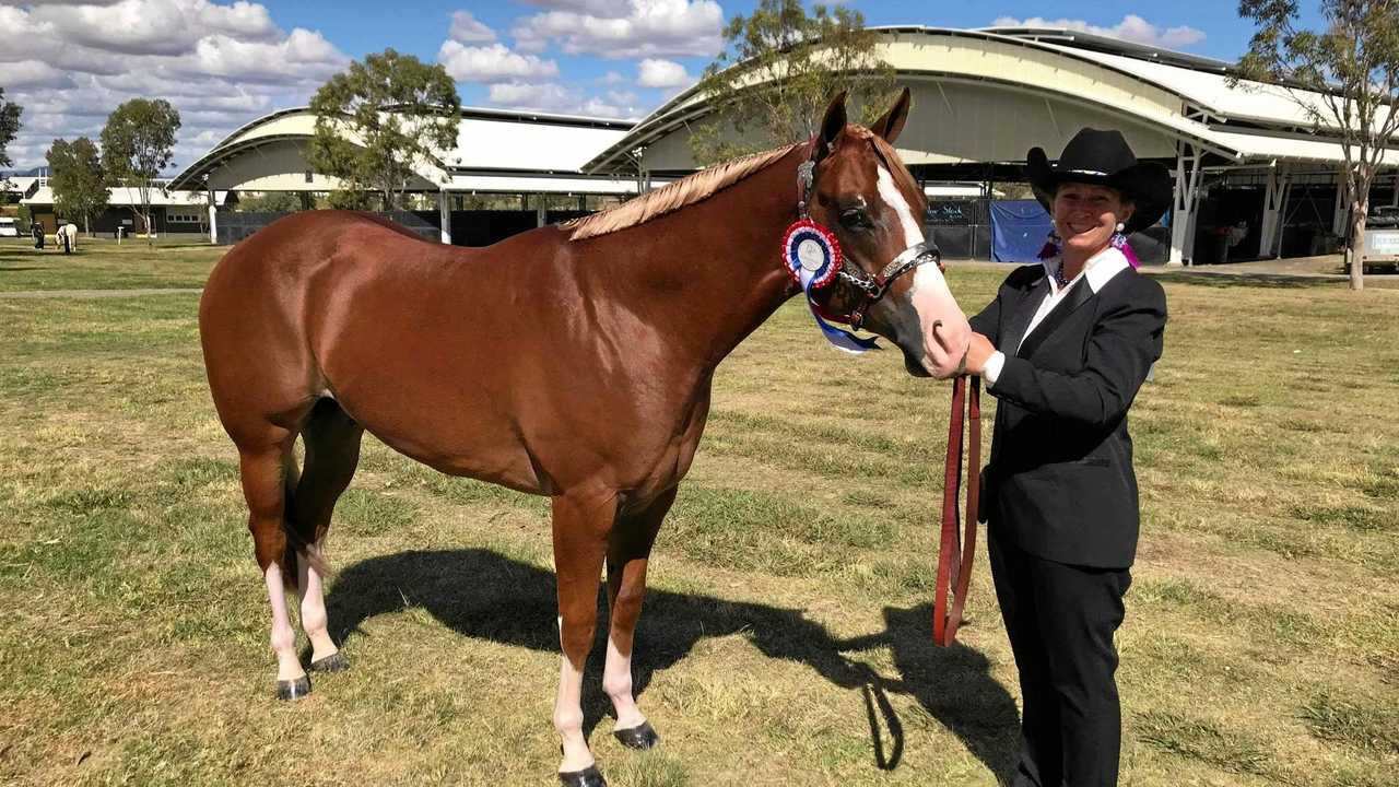 COLOUR ME HAPPY: Tenelle ter Rahe at the National Paint Horse Show in Tamworth with Cookie, her two-year-old paint colt. Picture: Tanelle ter Rahe