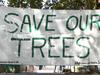 Leave it out: See where Adelaide’s lost the most trees
