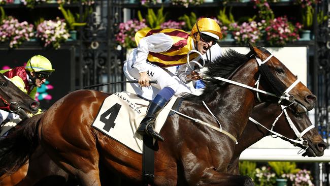 Preferment won the Turnbull Stakes but may be better suited in the Melbourne Cup. Picture: Colleen Petch