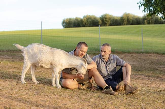 Not kidding around ... Todd, Jeff and one of their new countryside mates.