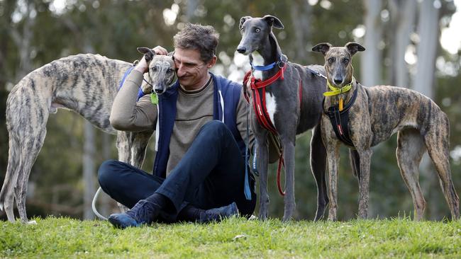 WEEKEND TELEGRAPH - 25/7/23MUST NOT PUBLISH BEFORE CLEARING WITH PIC EDITOR - Matt Tirpak pictured with his 3 rescue greyhoundÃs in Marsfield this afternoon. Picture: Sam Ruttyn