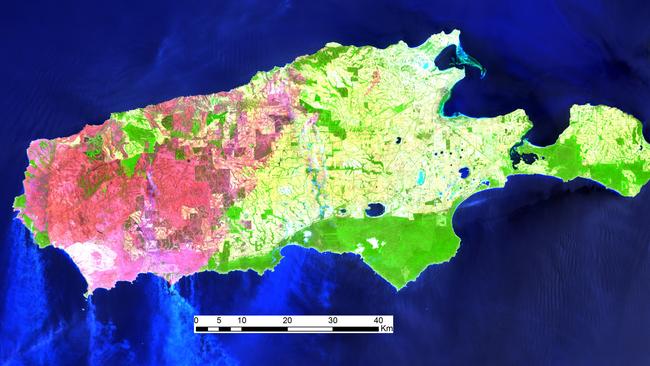 About 280,000ha of land was burned in the Kangaroo Island bushfires.