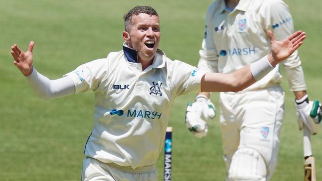 Peter Siddle has been a reliably excellent performer for years in Australian colours.