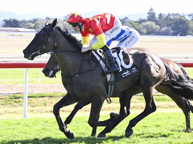 August Bloom can beging her campaign on a winning note at Rosehill. Picture: Bradley Photos