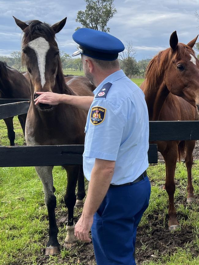 St Heliers Correctional Centre at Muswellbrook runs a program helping rehabilitate retired racehorses, providing employment pathways for inmates nearing release from prison. Supplied