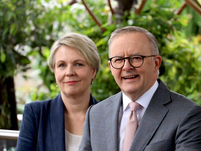 Prime Minister Anthony Albanese with the Minister for the Environment and Water, Tanya Plibersek. Picture: NCA NewsWire / Nicholas Eagar