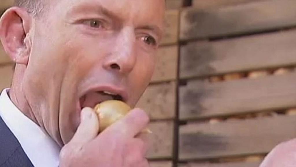 Tony Abbott chomps into a raw brown onion