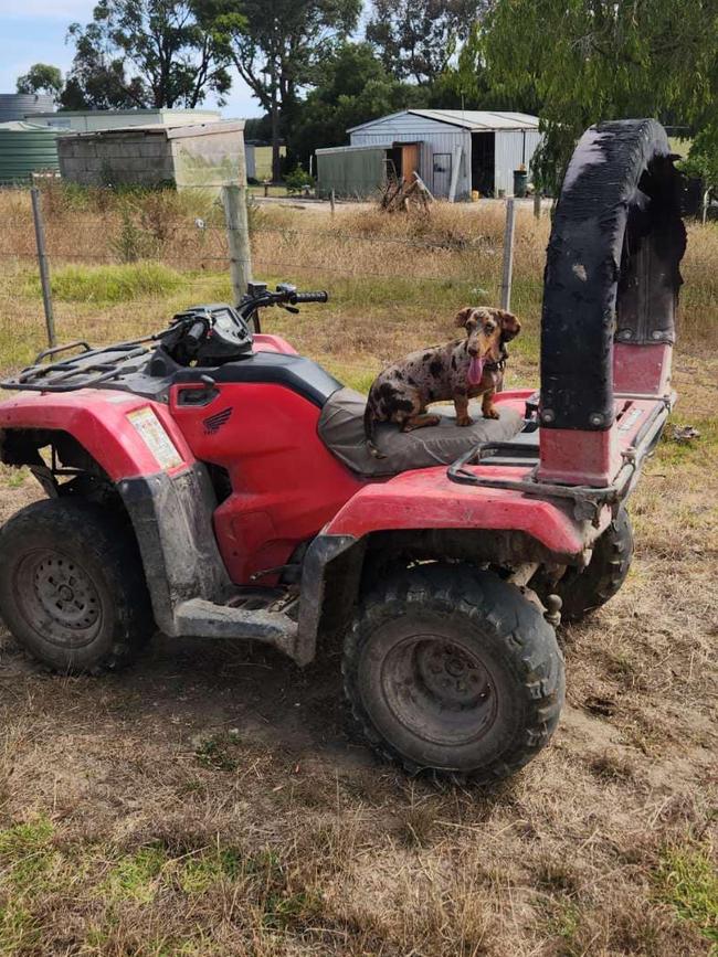 The quad bike was stolen from a dairy farm on Megaw Road, Compton. Picture: Facebook