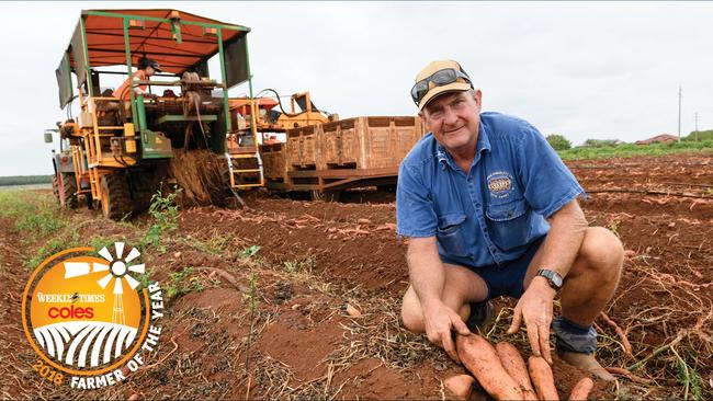 Reaping rewards: Darren Zunker in a crop of sweet potatoes on his farm near Bundaberg in Queensland. Picture: Paul Beutel