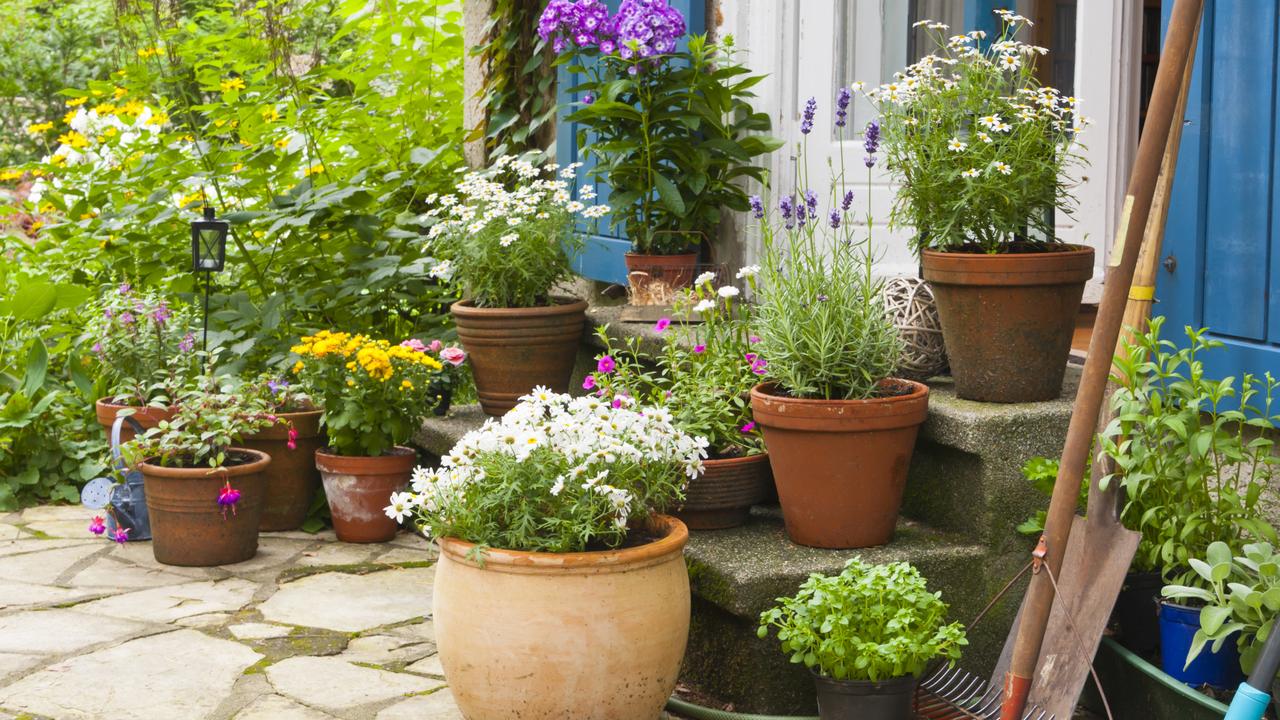 Annette McFarlane Gardening: tuck into an edible garden | The Courier Mail