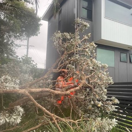 damaging winds continue to impact parts of the Northern Rivers and North Coast throughout Saturday,