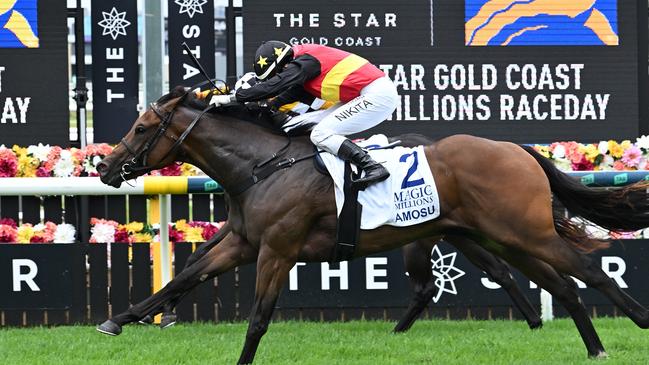 Liam Birchley-trained Amosu wins the $500,000 The Debut on Gold Coast Magic Millions day, under jockey Nikita Beriman. Picture: Grant Peters, Trackside Photography