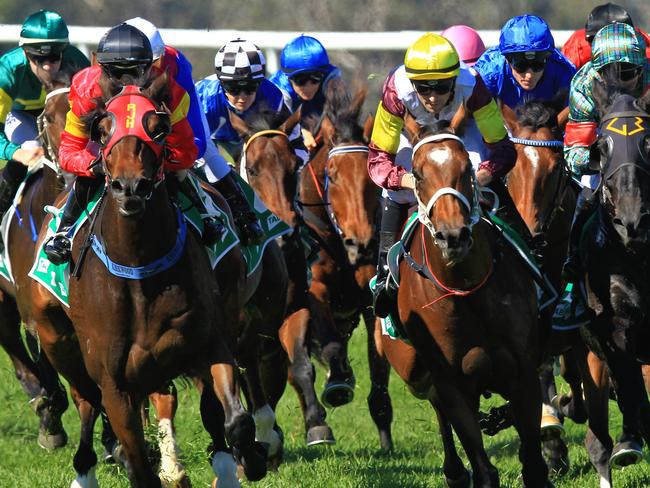 Loving home ridden by Tye Angland  (yellow cap, maroon with yellow armbands) wins race 1 during Scone  Races located in the Upper Hunter Region of NSW. The Bend . Pic Jenny Evans