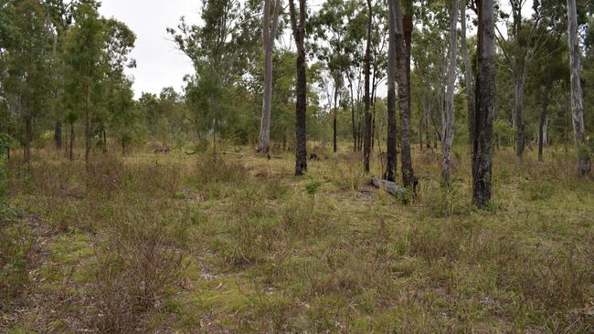 The land is listed for sale by tender, which closes on September 2 at midday. Picture: Aden Stokes