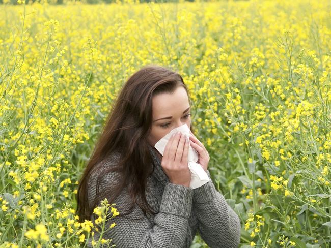 Hayfever hell: Australians missing social gatherings and work as