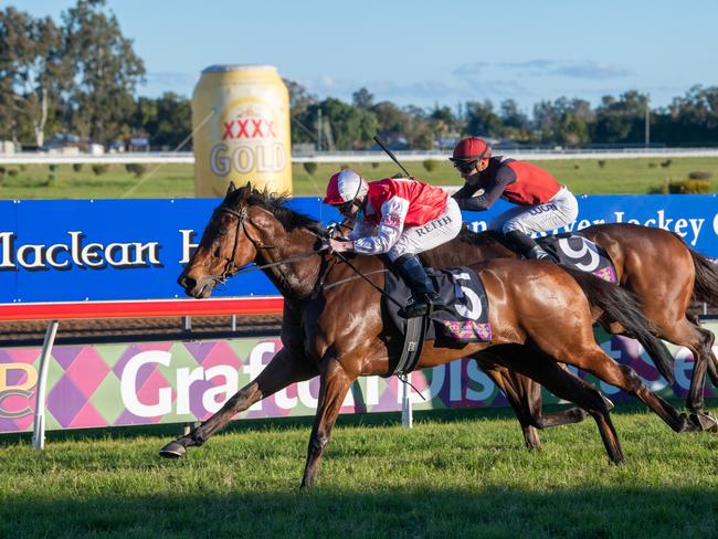 Southern Lad wins the 2021 Ramornie Handicap for Randwick trainer John O'Shea. Photo: Adam Hourigan