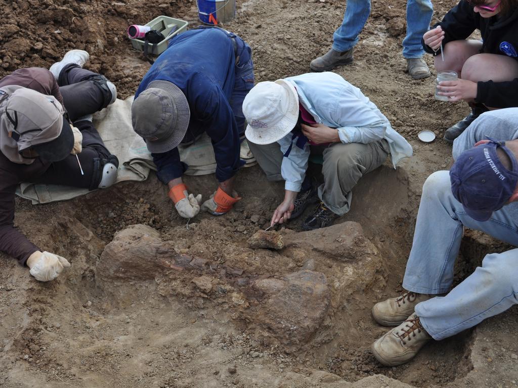 The results of Ms Beeston’s study represent a huge team effort, with the work of researchers and volunteers being carried out over the last 15 years. Pictured is the McKenzie site in 2012. Picture: supplied