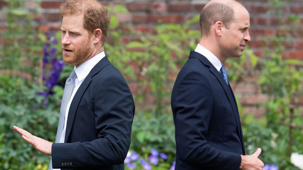 Harry and William came together to unveil a statue of their mother, Princess Diana, at the start of July. Picture: Dominic Lipinski/AFP