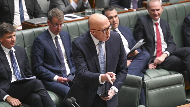 Leader of the Opposition Peter Dutton was called a racist by Independent MP Zali Steggall. Picture: NewsWire / Martin Ollman