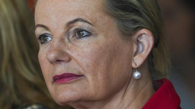 CANBERRA, AUSTRALIA, NewsWire Photos. FEBRUARY 7, 2024: Deputy Leader of the Opposition Sussan Ley attends the UN International Women's Day Parliamentary Breakfast at Parliament House in Canberra. Picture: NCA NewsWire / Martin Ollman