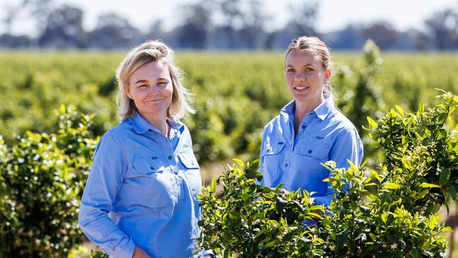 GoFarm chief operating officer Greer McCracken (left) and investor relations associate Anna Keenan (right) in a citrus orchard in northern Victoria.