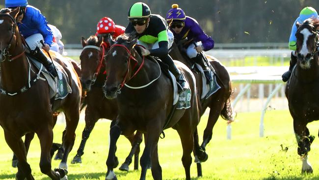 Think About It is a hot favourite for the Premiere Stakes. Picture: Jeremy Ng-Getty Images