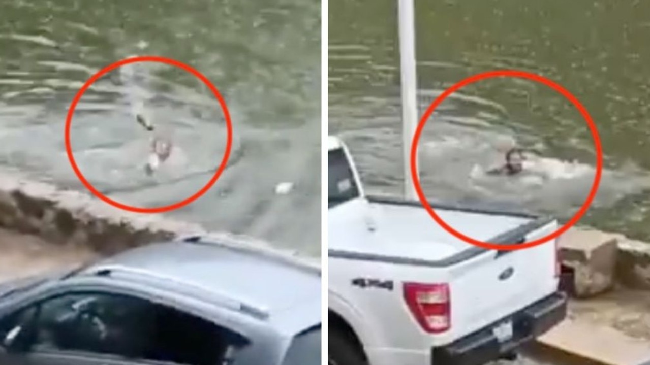 Horror as croc chases screaming swimmer