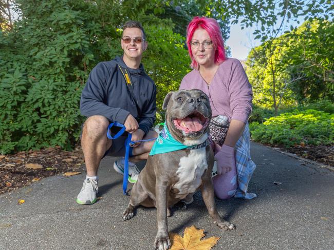 RSPCA SA's Million Paws Walk in Adelaide on May 25, 2025. Picture: Ben Clark